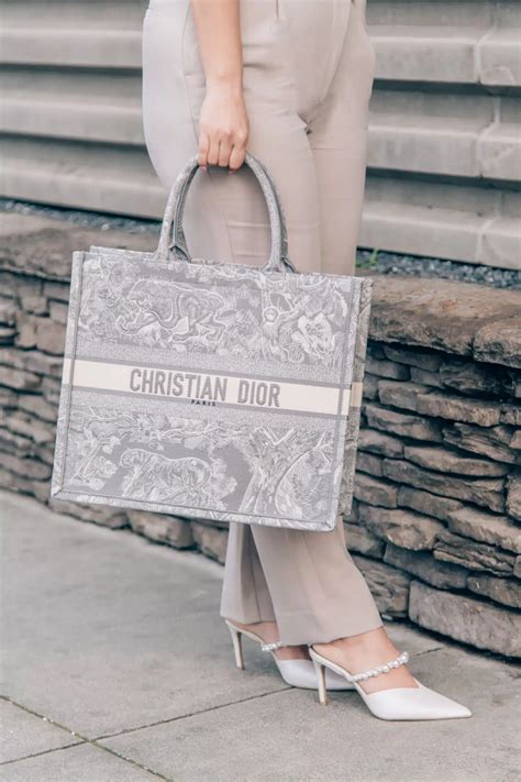 christian dior shoes dupe|christian dior bag copy.